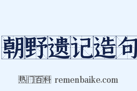 朝野遗记造句是什么意思的图片